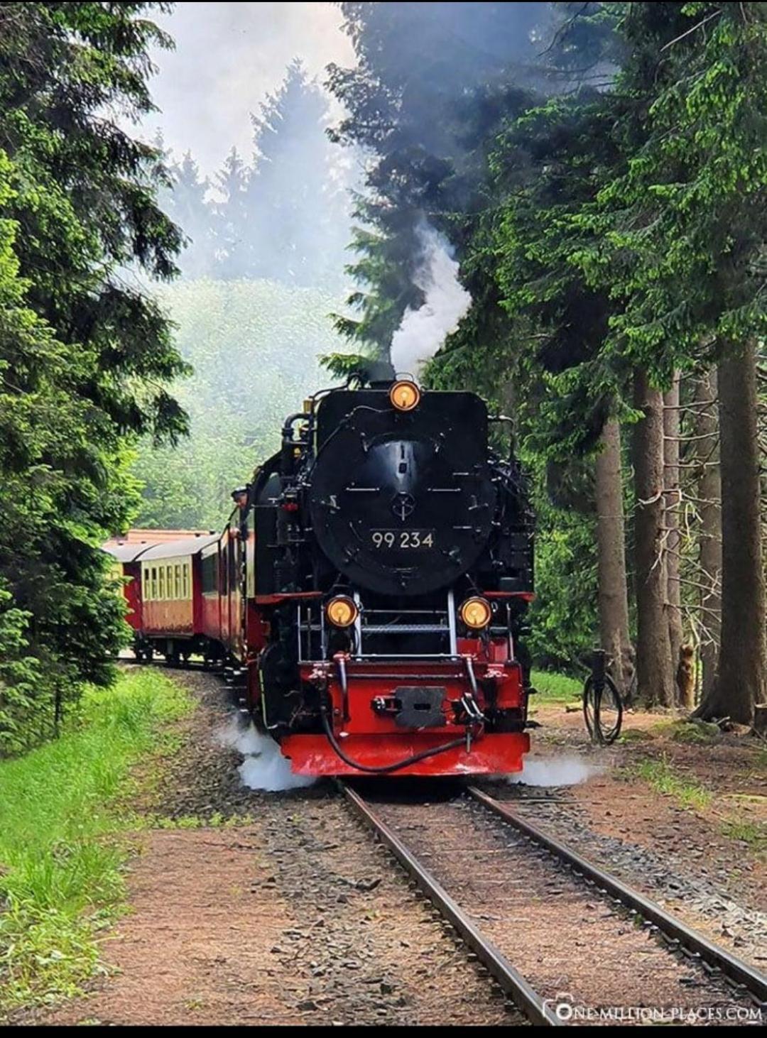 Ferienwohnung Holzmann Wernigerode Kültér fotó